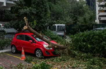 Následky větrné smršti